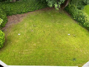 Garten 2.jpg
