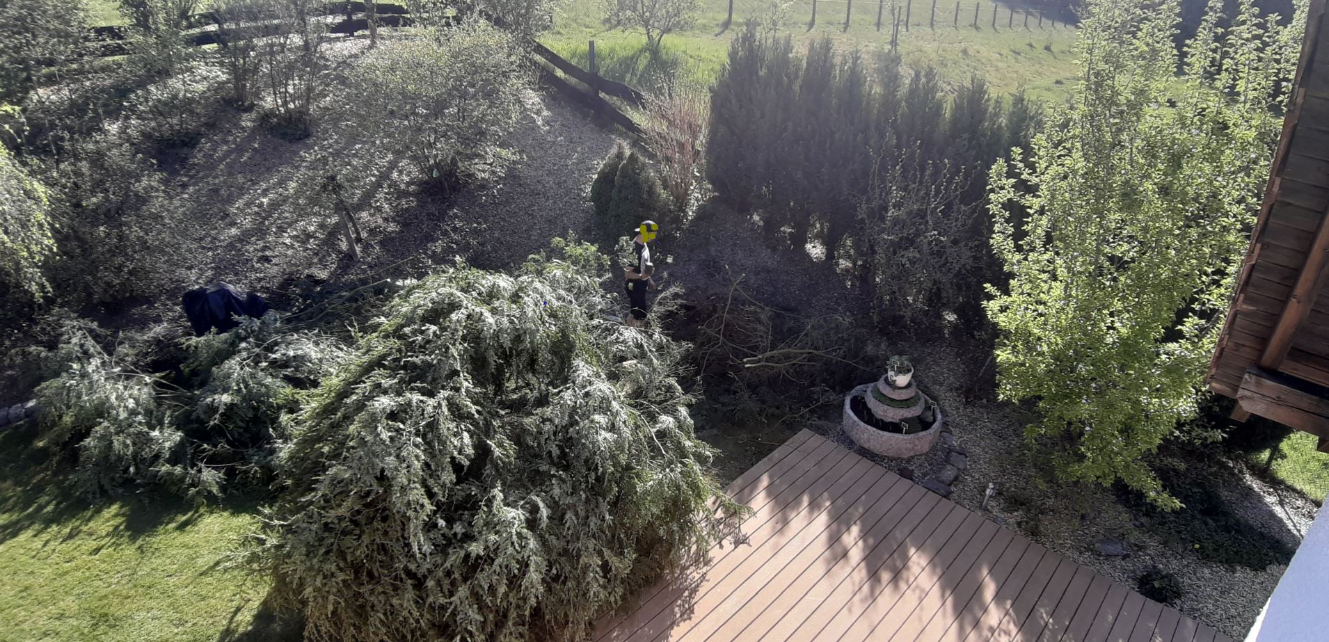 Garten.JPG