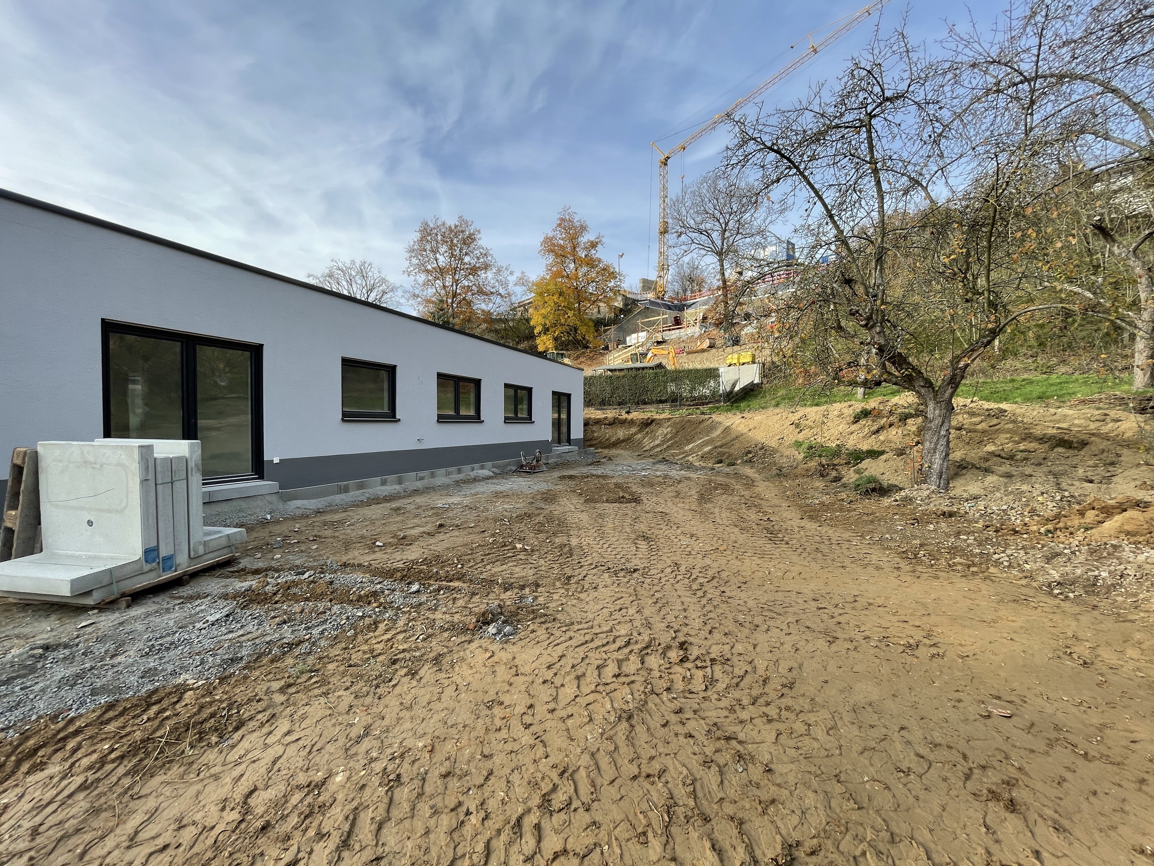 2-bungalows-auf-3000qm-mehrgenerationenprojekt-452015-7.jpeg