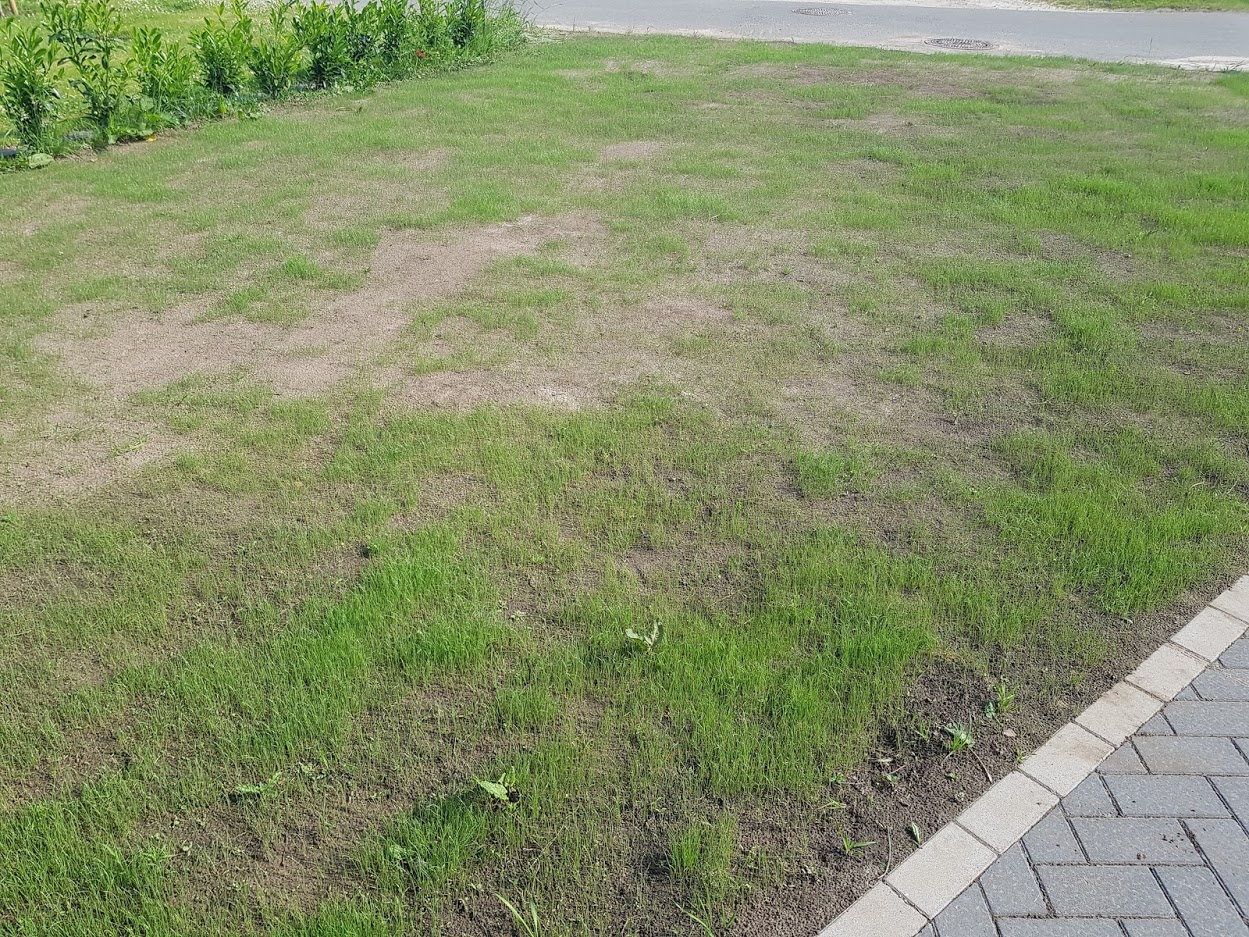 20210618_094900.jpg