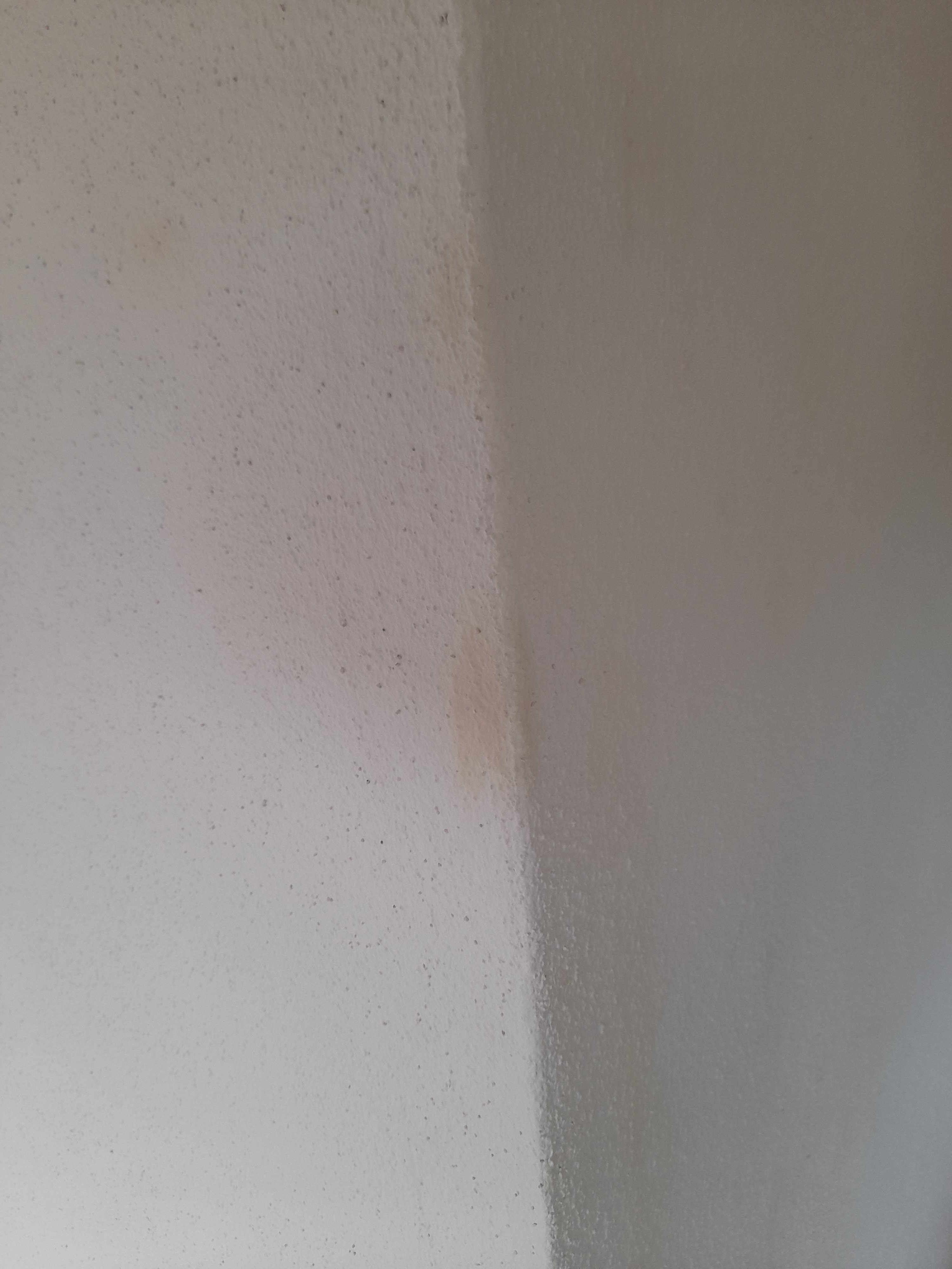 20210930_174439.jpg