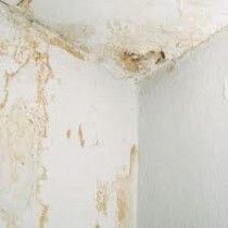 Rissige, feuchte Innenwand mit abgeplatztem Putz in der Ecke