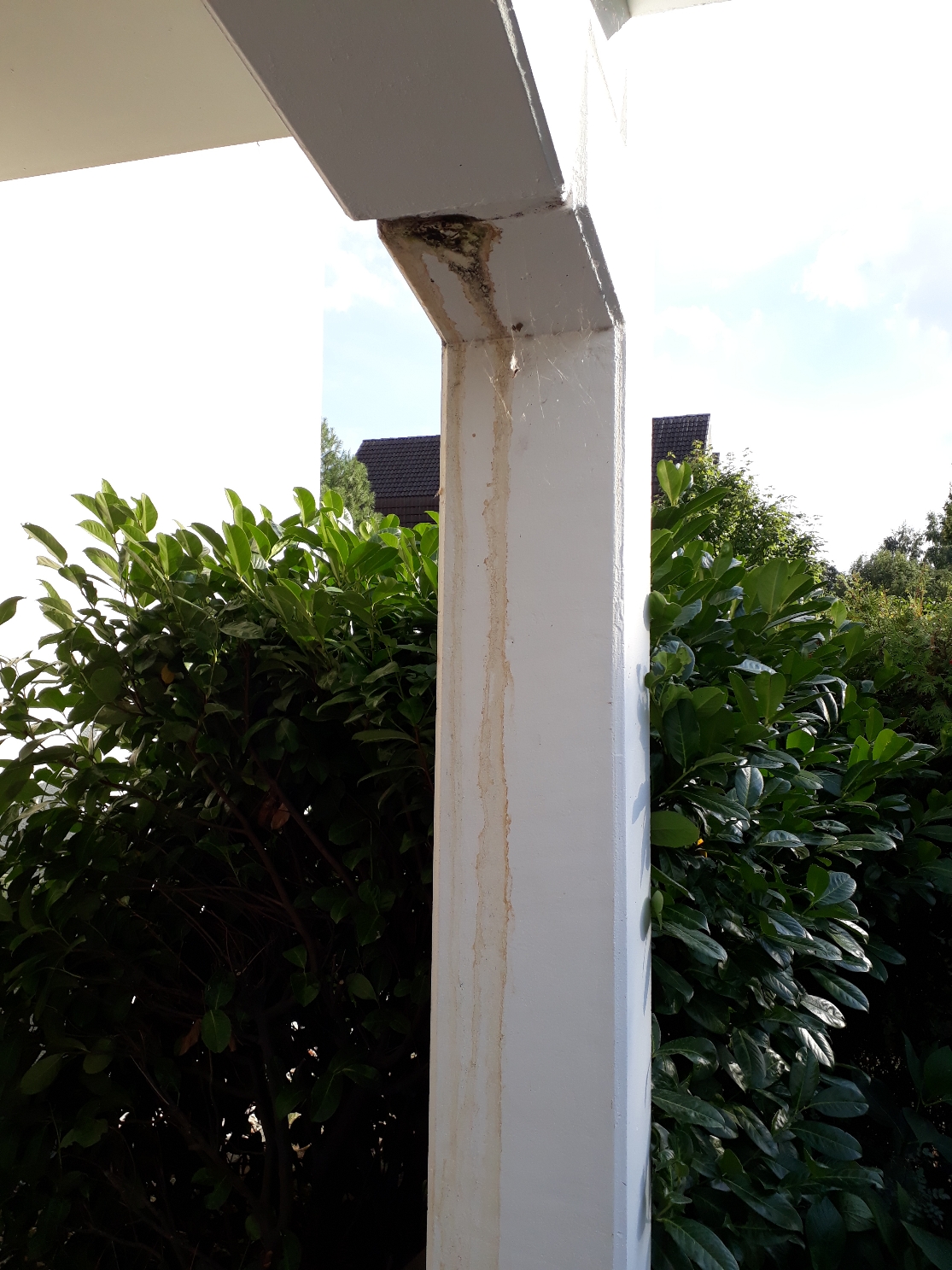2_20180914_162056.jpg