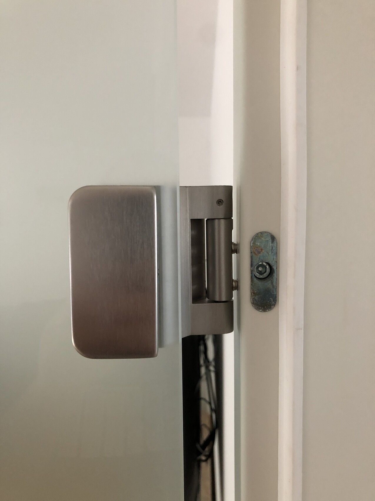 Nahaufnahme einer Glastür mit Edelstahlgriff und sichtbarem Türscharnier am Rahmen.