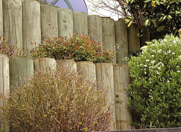 Holzzaun am Garten mit Sträuchern und grünem Bewuchs im Vordergrund