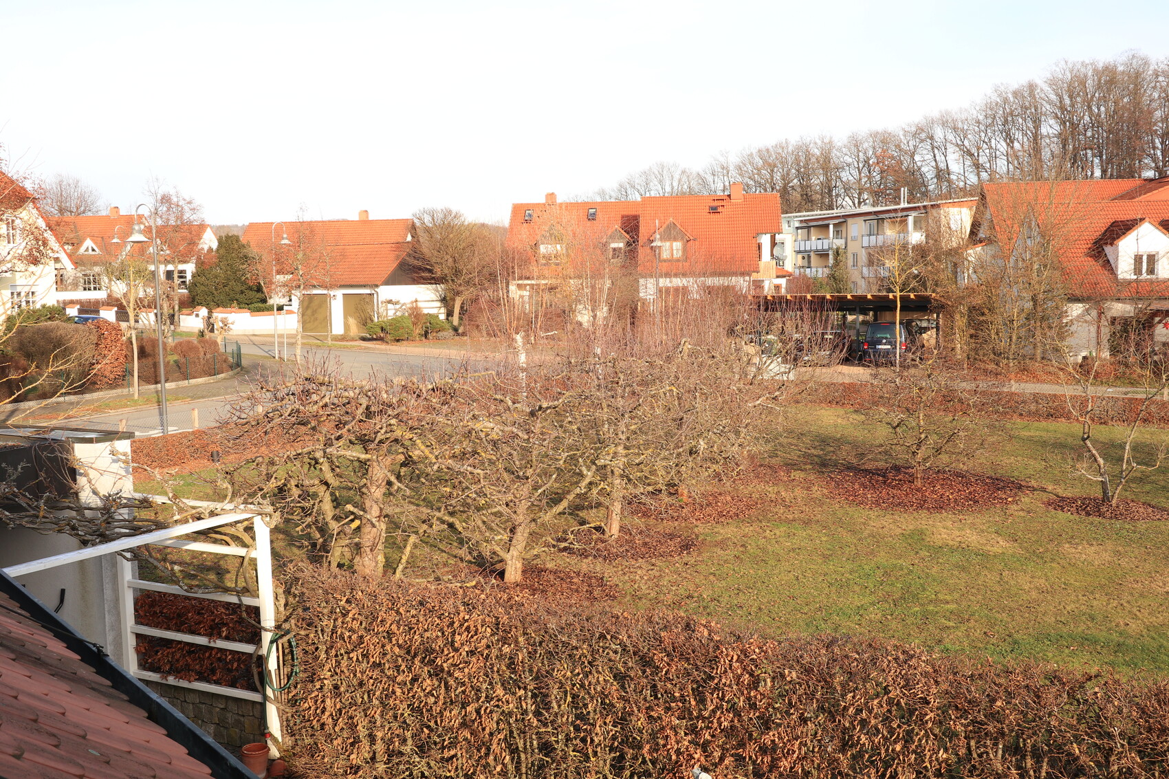 Wohnviertel mit roten Ziegeldächern, kahlen Bäumen, Straßenzug und geparkten Autos.