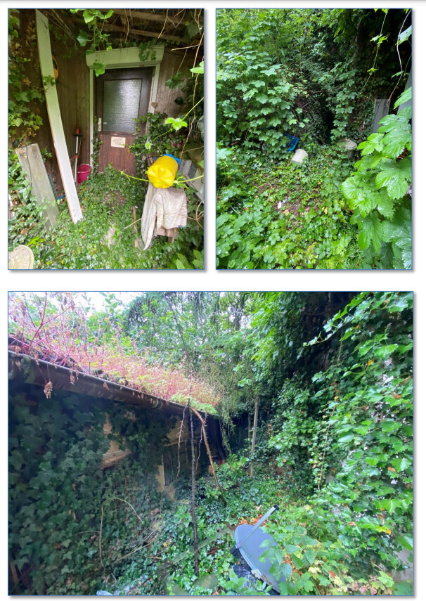 Drei Bilder eines verwilderten Gartens: Türschuppen, dichter Bewuchs, verlassene Schubkarre.