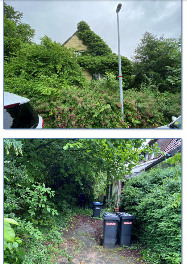 Zwei Bilder: Überwucherter Garten mit Haus und Laterne; schmaler Weg mit Mülltonnen.