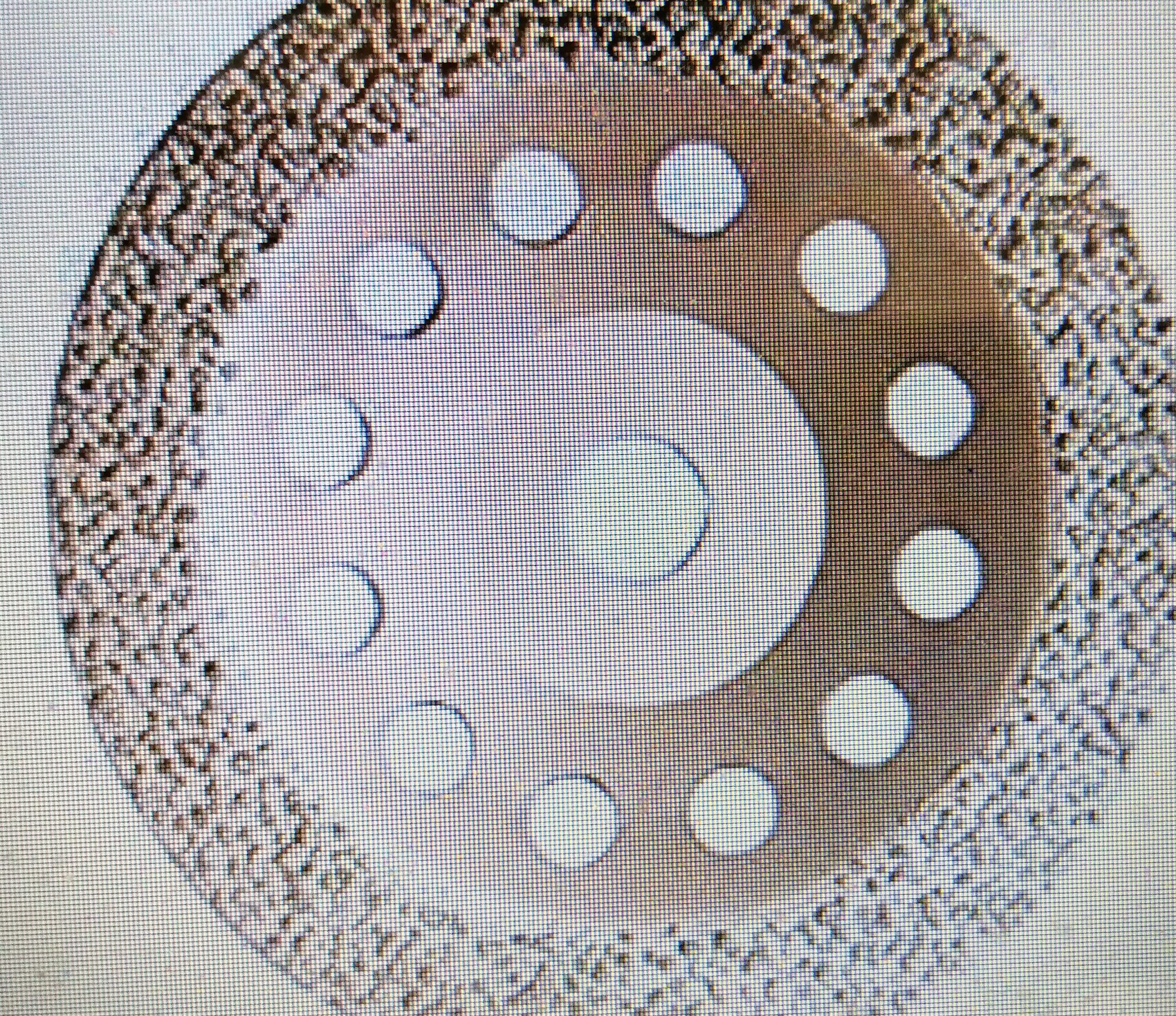 Runder Bodenablauf im Badezimmer mit Lochscheibe, Nahaufnahme