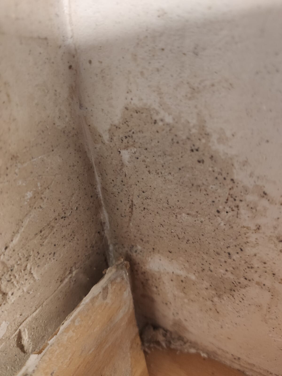 Staubige Wand- und Eckfläche mit dunklen Flecken, Holzbodenleiste am Boden.