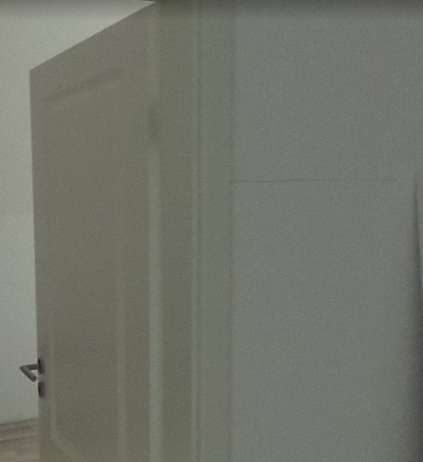6j-altest-haus-mit-putzrissenbadfliesen-gerissen-baummangel-402483-2.png