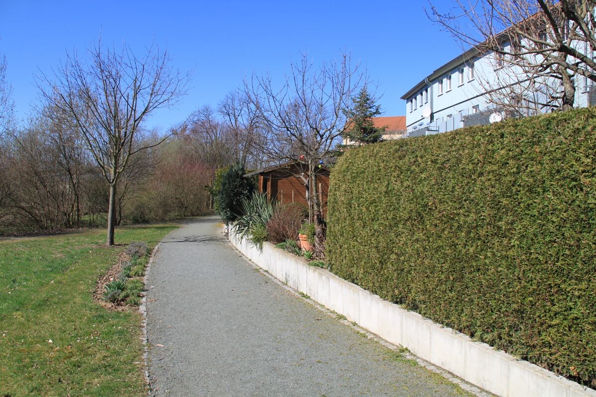 Gepflasterter Fußweg neben dichter Hecke, links karge Bäume, Hintergrund Gebäude bei blauem Himmel