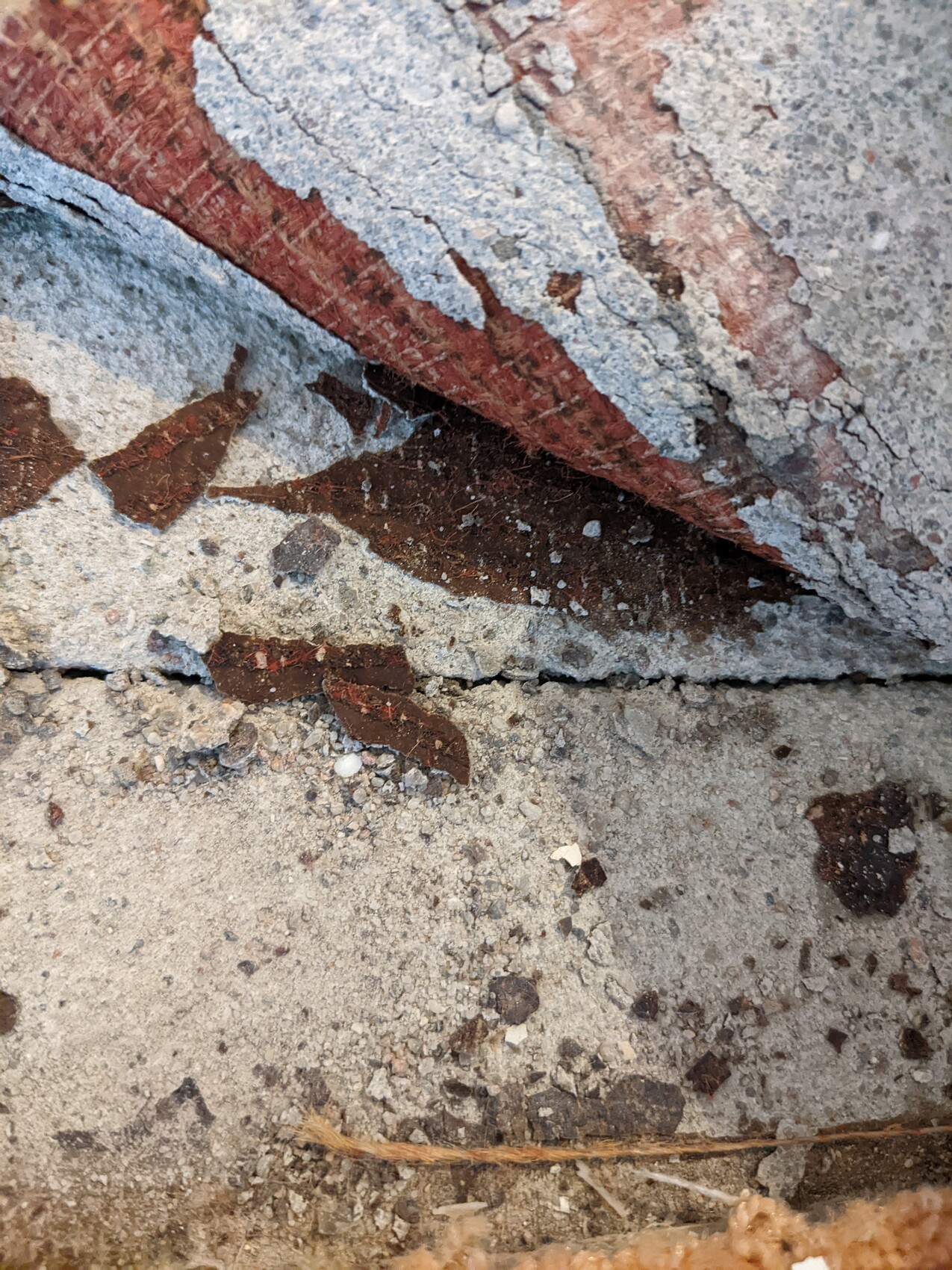 Bröckelnder Beton mit rostigem Metallstreifen, Kies und Staub.