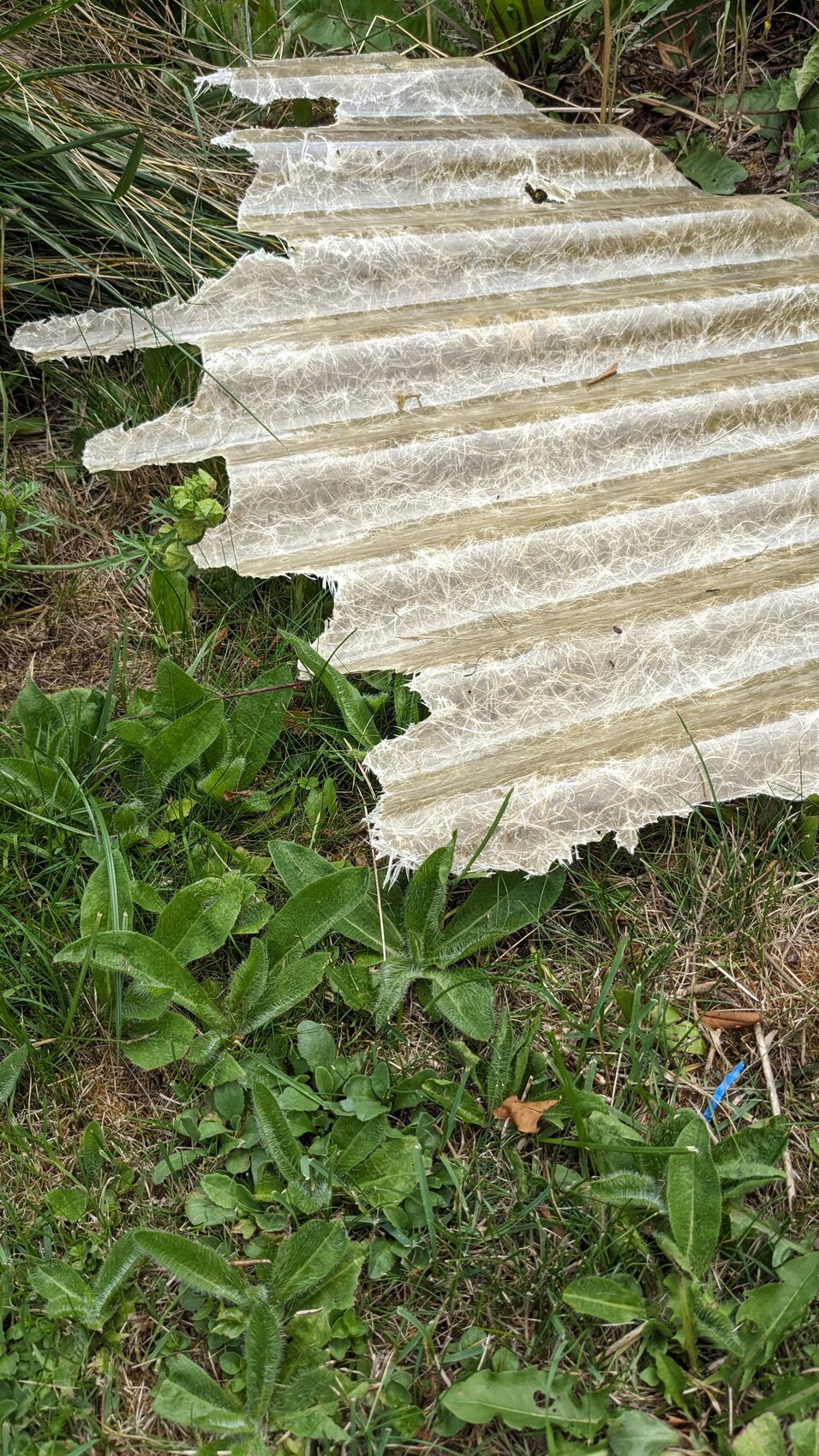 Abgerissene, wellenförmige, faserige Dachplatten aus Kunststoff liegen im Gras.