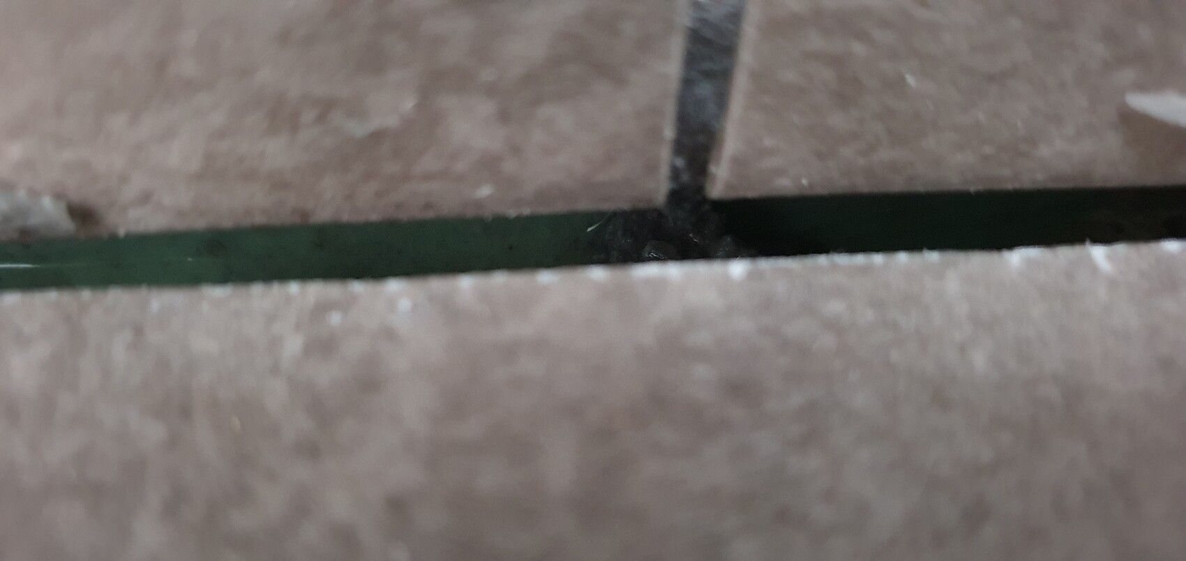 Nahaufnahme einer Fliese mit dunkler Fuge und grünem Randstreifen in braunem Boden