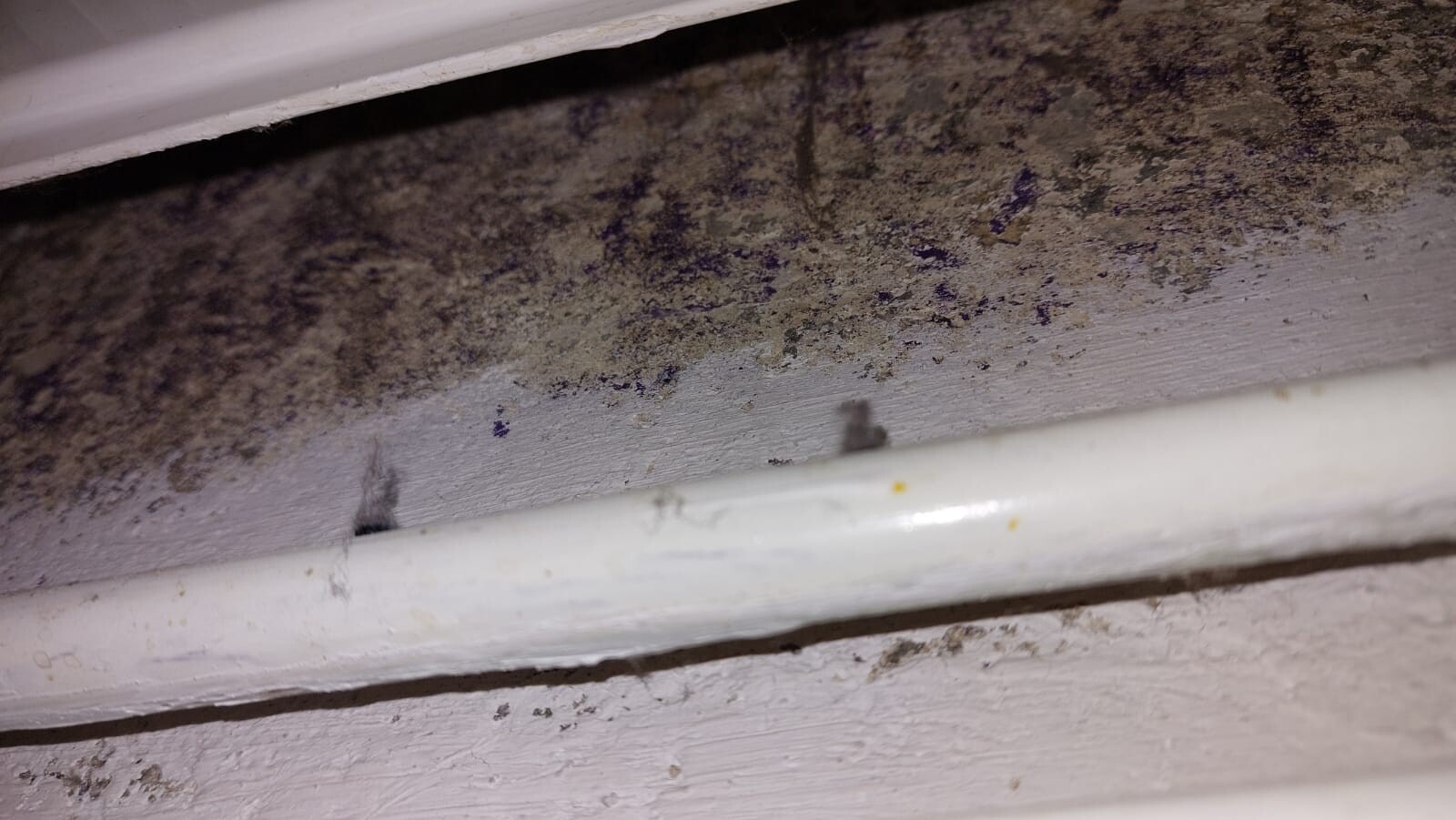 Schimmelbefall an einer gestrichenen Holzoberfläche neben einem weißen Rohr.