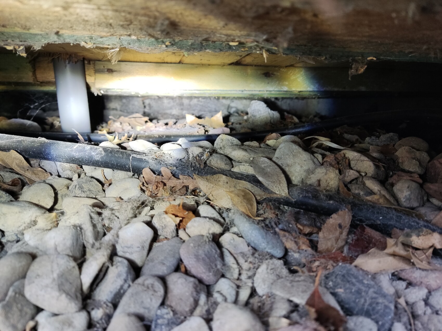 Blick in einen Kriechraum: Kieselsteine, Kabel, Rohr, Staub und Laub unter einem Holzbalken.
