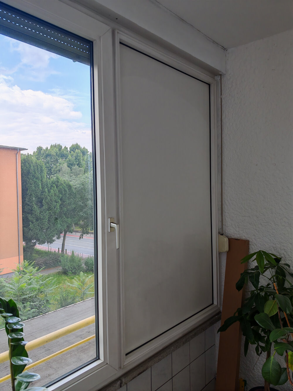 Geschlossenes Fenster mit weißem Rollladen im Innenraum; Blick nach draußen auf Bäume und Straße.