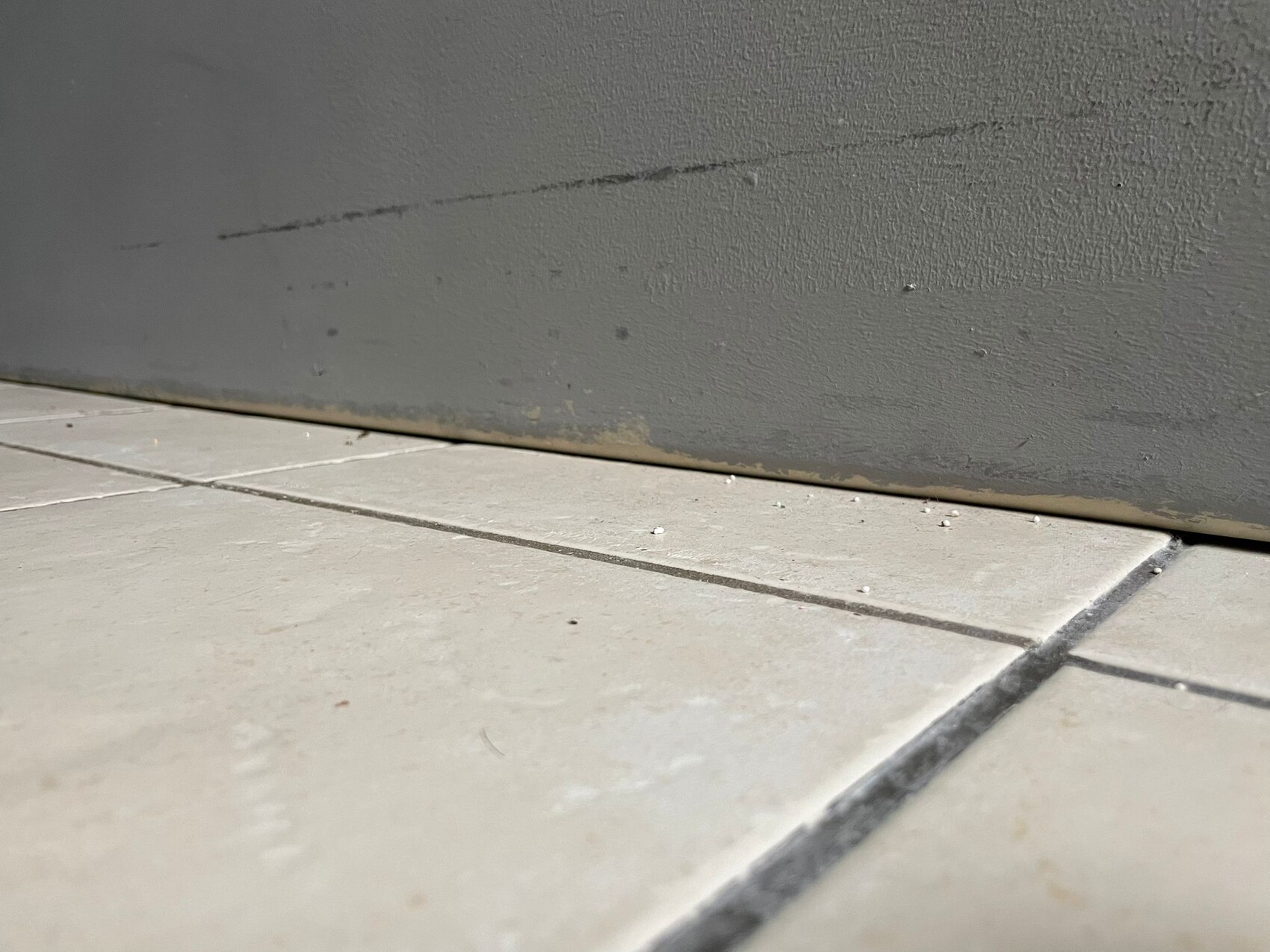 Nahaufnahme einer grauen Sockelleiste über hellgrauen Fliesen mit kleinen weißen Körnern darauf.