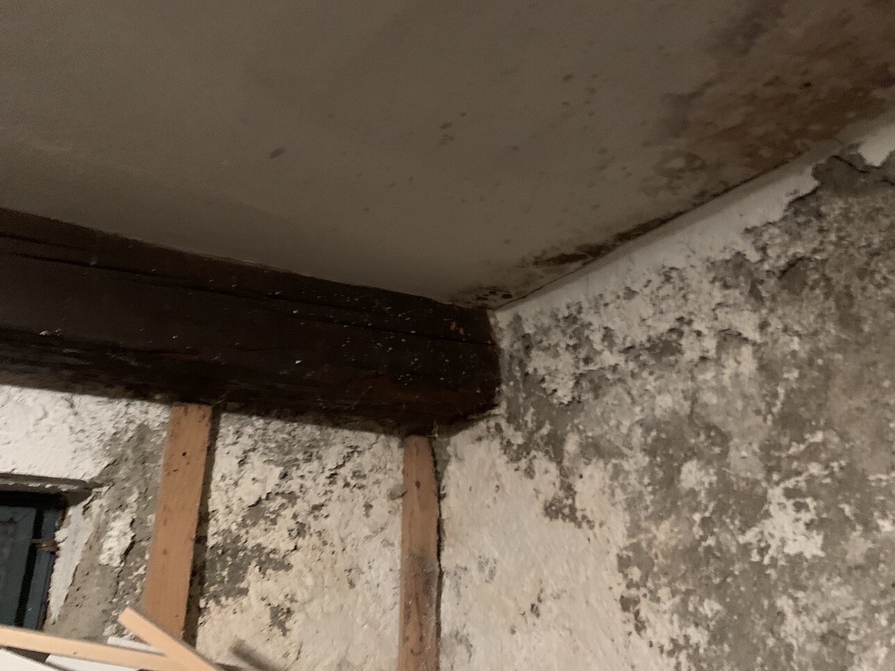 Feuchte Innenwand mit Schimmel und freiliegenden Holzbalken in einem Kellerraum.