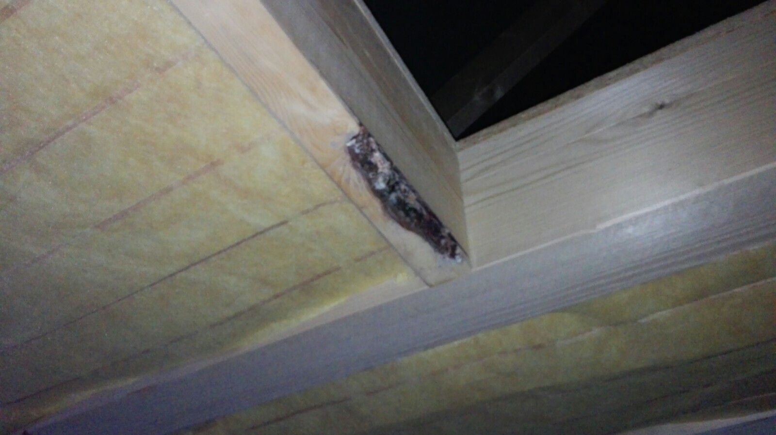 Holzständerwerk in Dachkonstruktion mit Dämmung und Feuchtigkeitsschäden