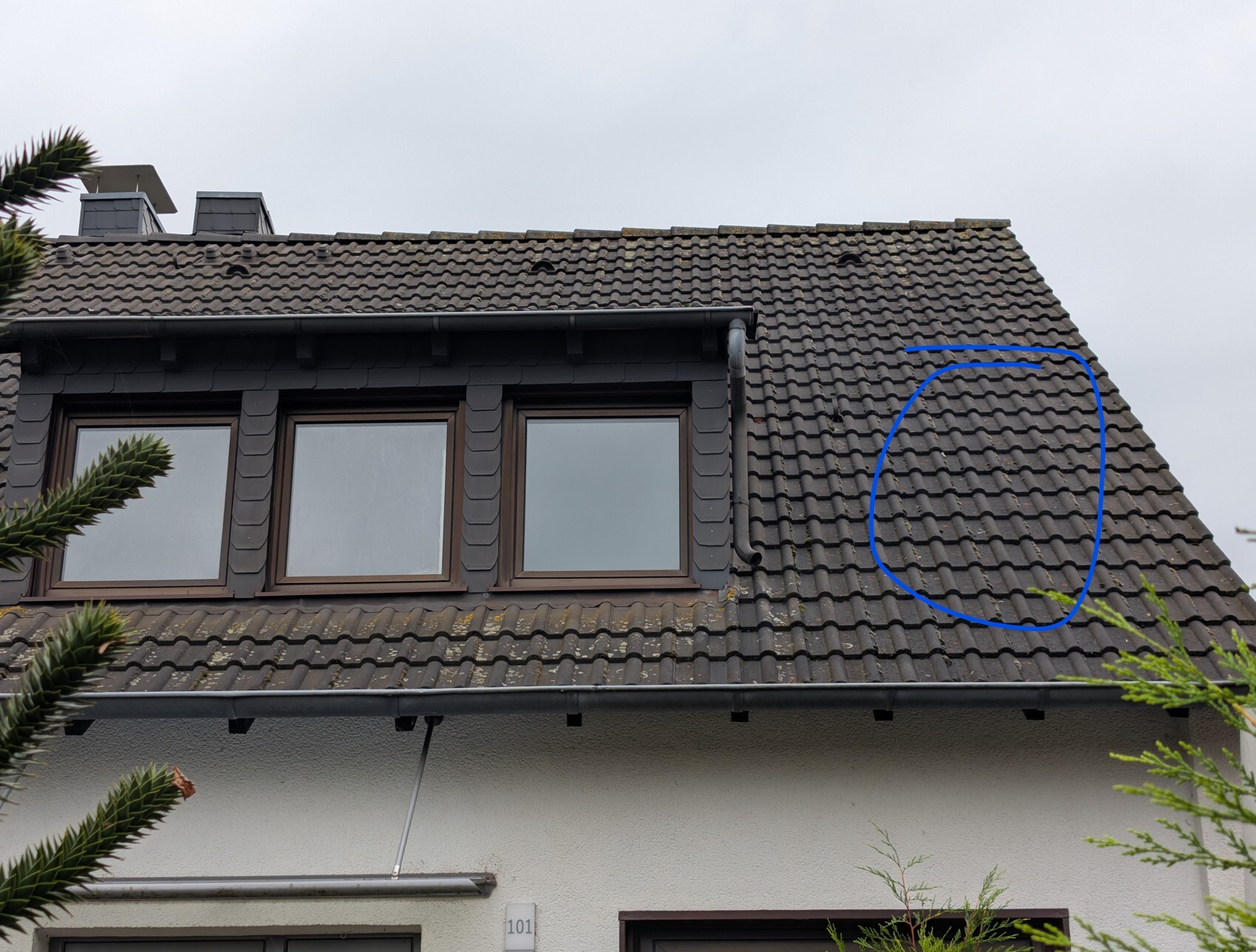 Dachansicht eines Hauses mit grauen Dachziegeln, Gauben und Dachrinne; markierter Bereich.