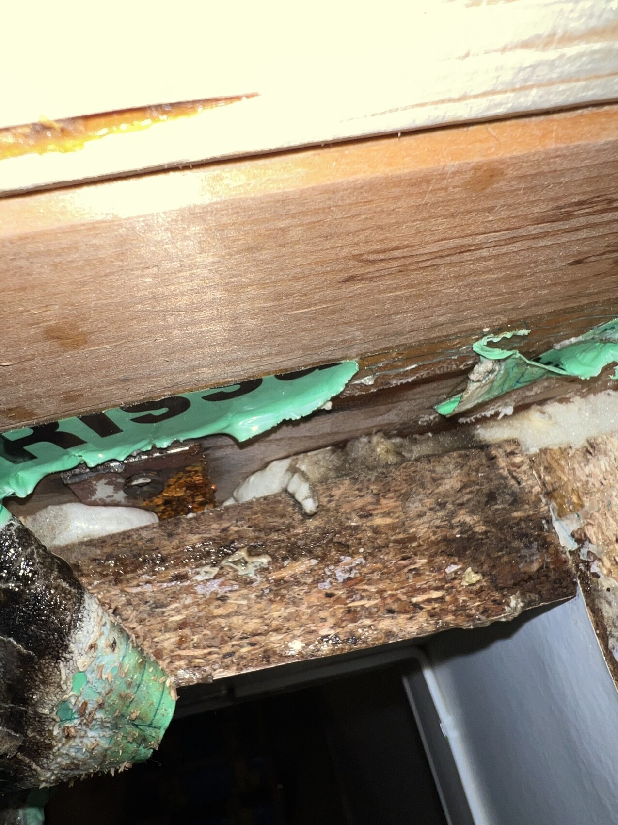 Feuchtigkeitsschaden an verrotteten Holzbalken mit Dichtband