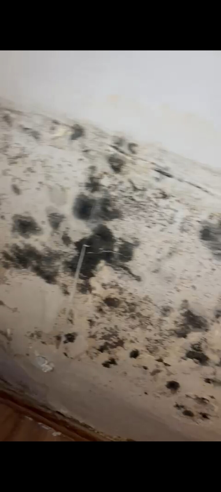 Feuchte Wand mit Schimmelbefall und Putzabplatzungen im Innenbereich.