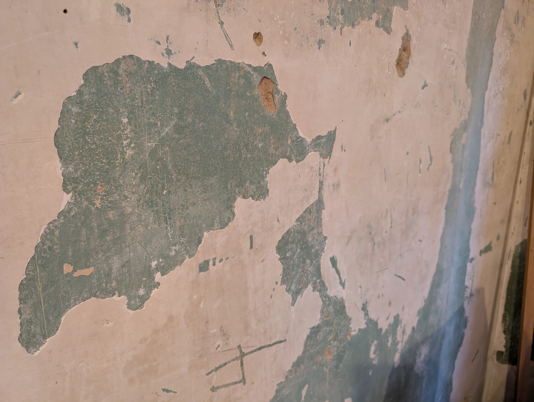 Abblätternde Putzwand im Innenraum mit grünlicher Verfärbung