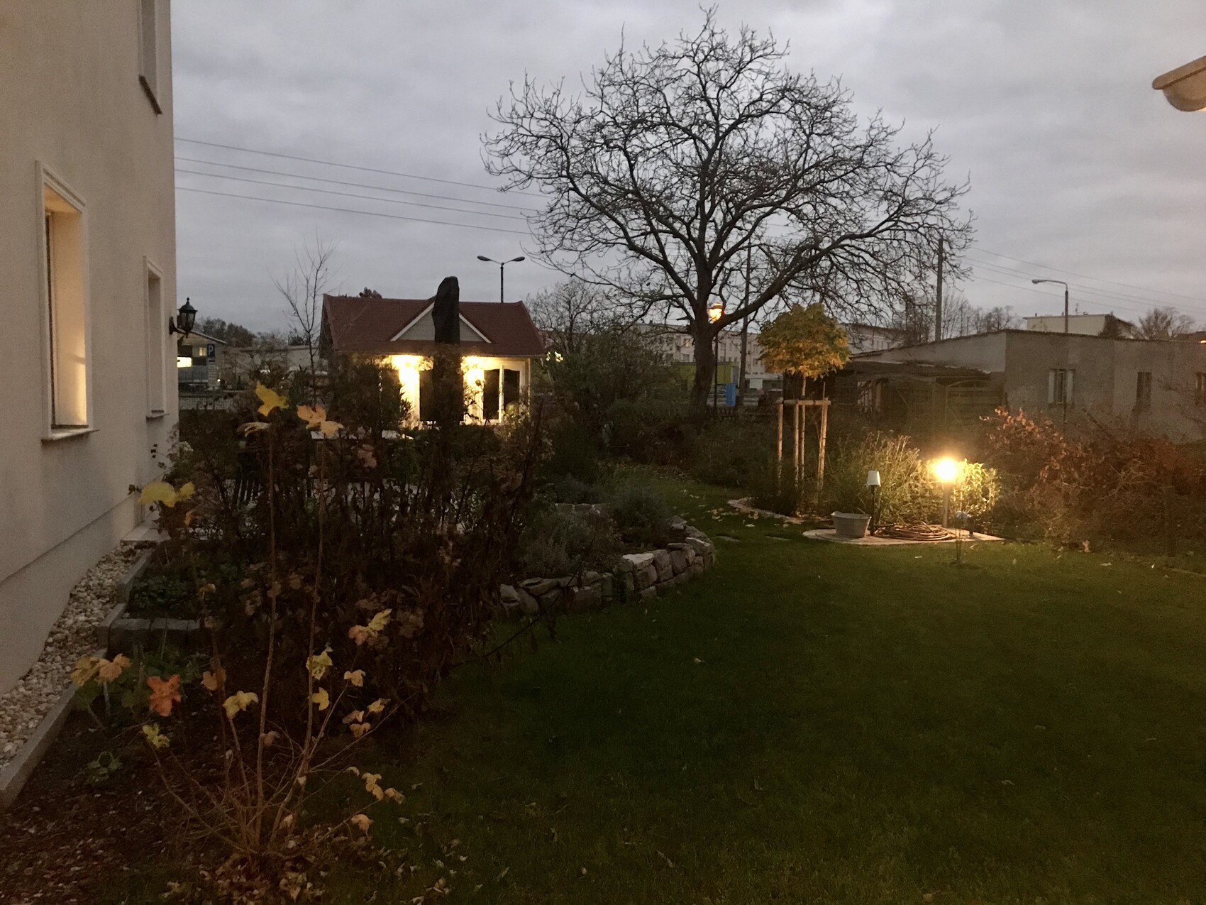 Garten bei Dämmerung mit blattlosem Baum, Hecke, Rasen und warmem Außenlicht
