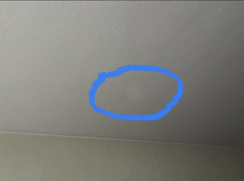 altbau-flachdach-helle-flecken-zimmerdecke-549446-2.jpeg