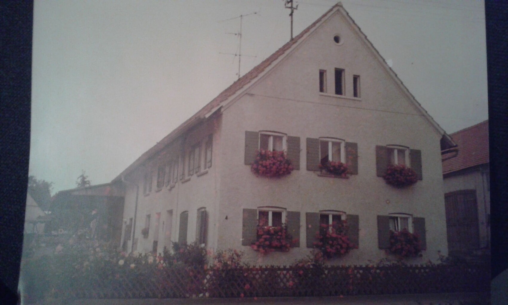 Außenansicht eines Altbaus mit grauer Fassade, Fensterläden und Blumenkästen.