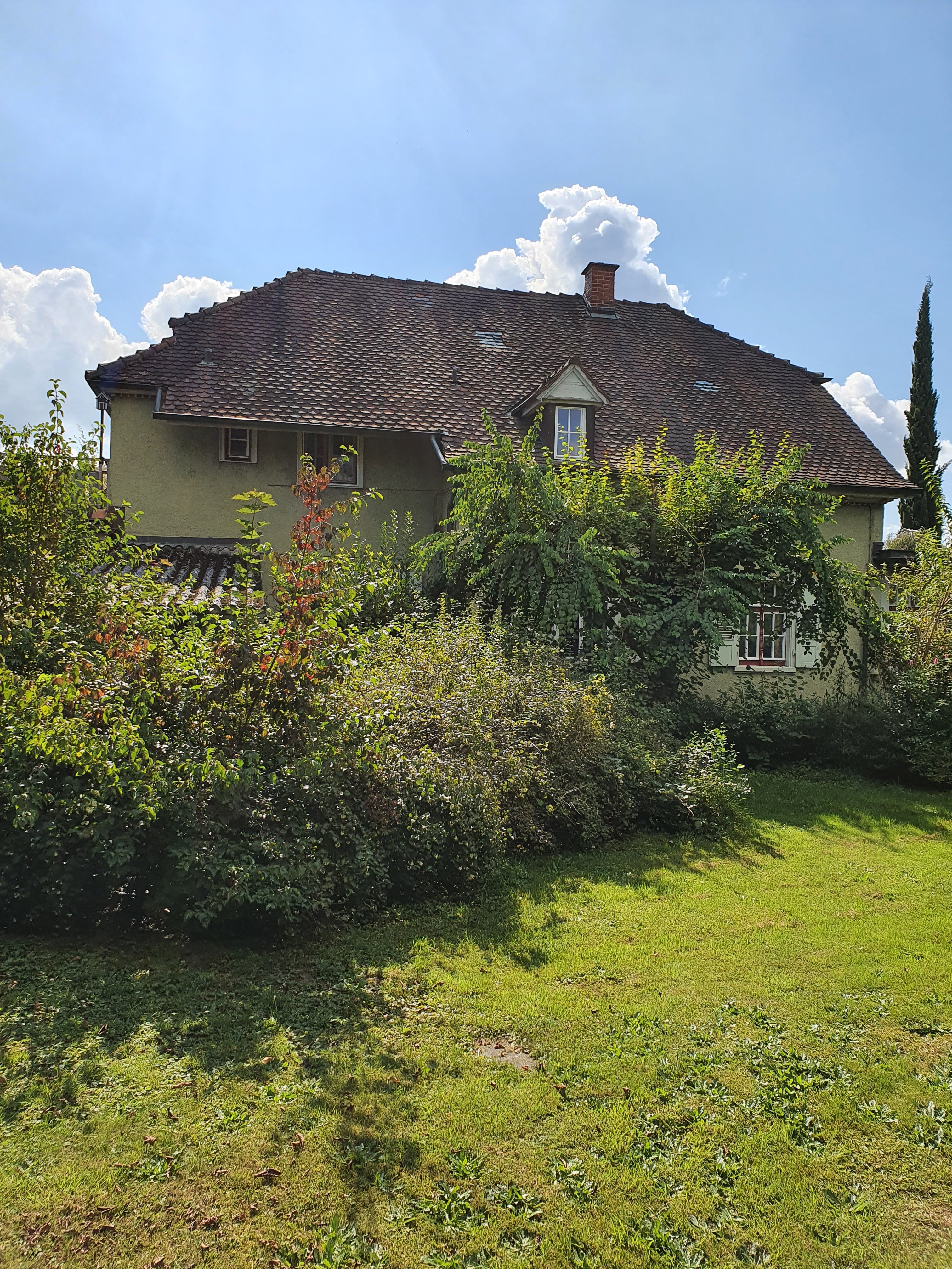 altbausanierung-haus-bj1916-mfh-zu-efm-erfahrungen-528764-1.jpg
