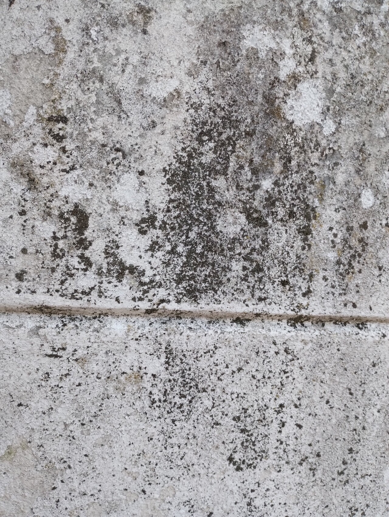 Nahaufnahme einer grauen Steinwand mit Flechten und einer horizontalen Fuge.