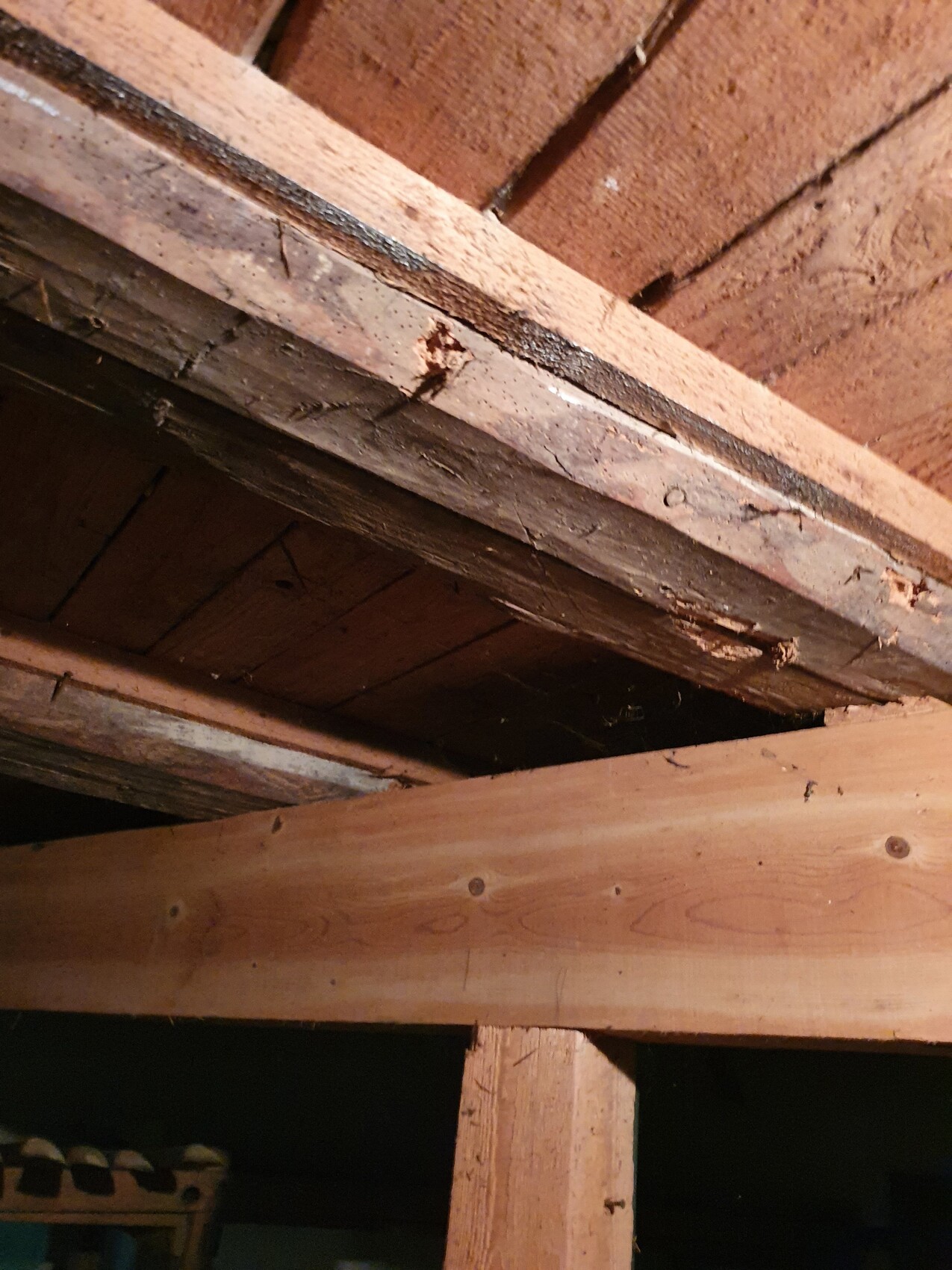 Sichtbare Dachkonstruktion im Dachboden mit Holzbalken, Bretterdecke und dunklen Zwischenräumen.