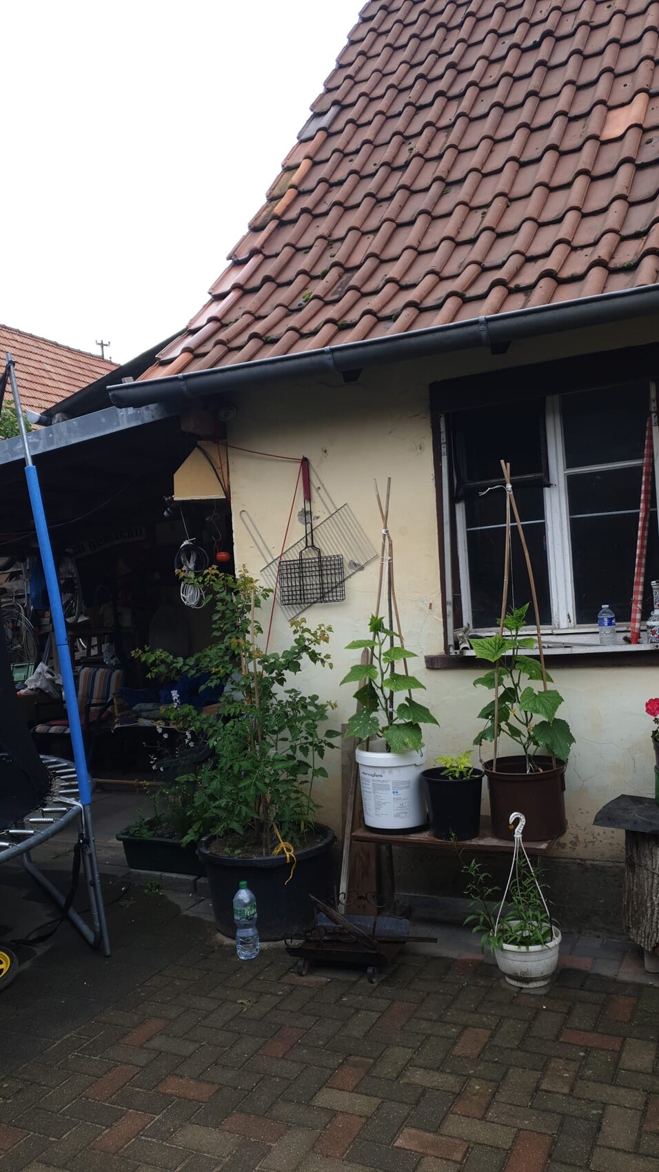Außenansicht eines Hauses mit rotem Ziegeldach, Topfpflanzen und Gartengeräten an der Wand.