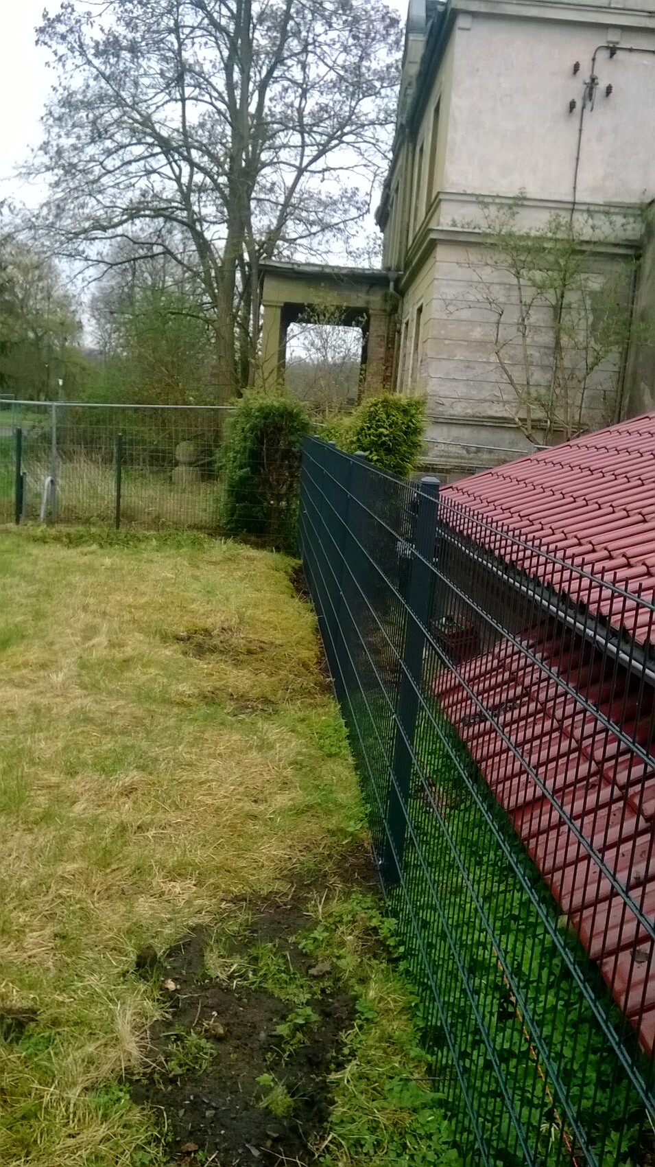 Großer Baum hinter grünem Metallzaun neben einem historischen Gebäude; rotes Dach sichtbar.