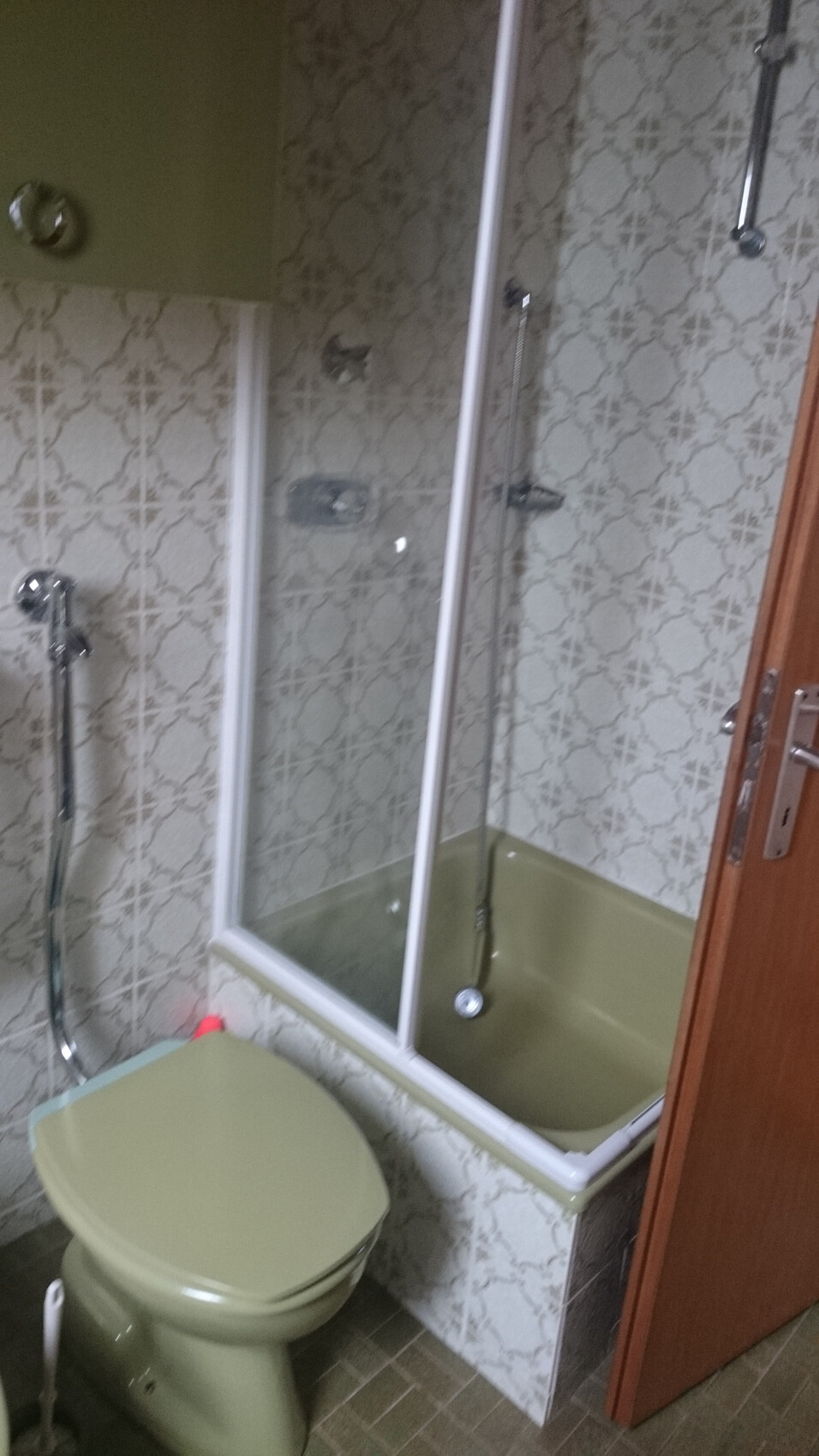 Altes Badezimmer mit gruener Toilette, begehbarer Dusche und Badewanne vor gemusterten Fliesen.