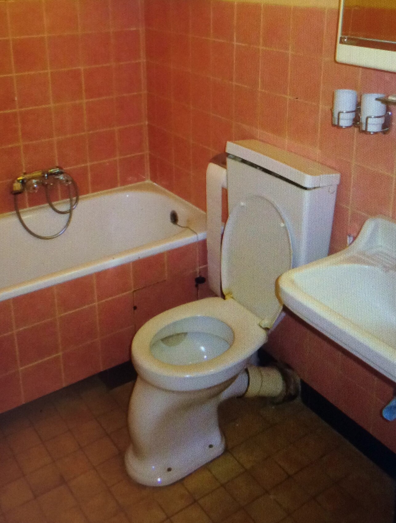 altes-bad-toilette-wanne-pink-fliesen.jpg