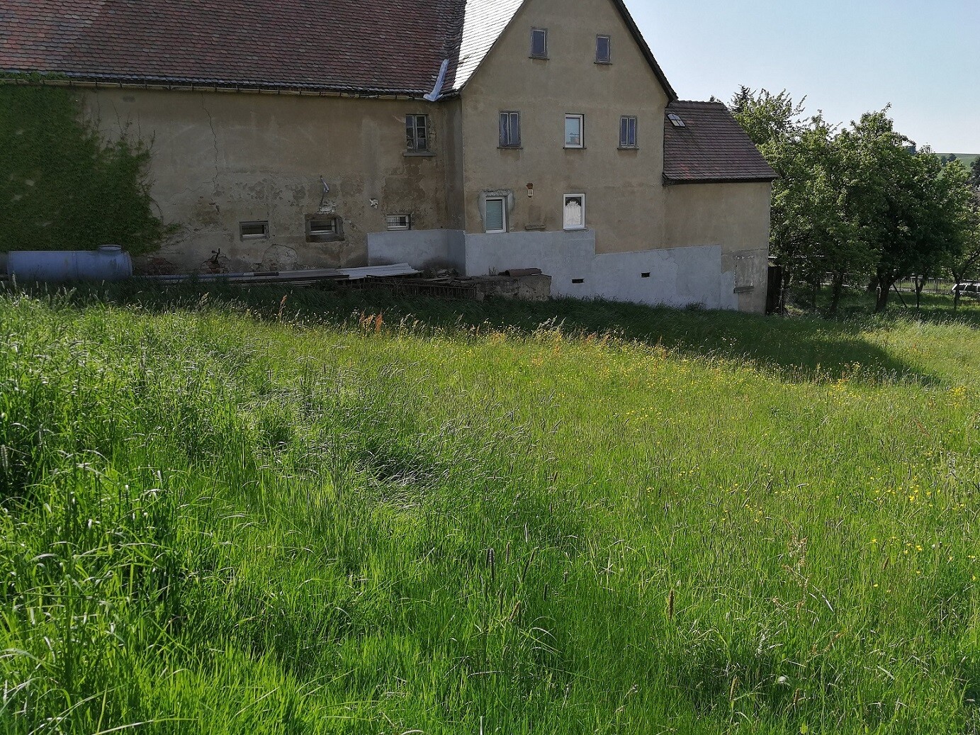 Altes Haus mit verputzter Fassade vor grünem Feld und Gartenbereich.