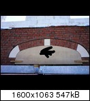 asymmetrie-im-haustuerbogen-95449-1.jpg