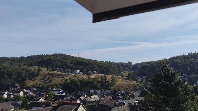 Häuserdorf am Hang mit Wäldern und Hügeln, Vordergrund Baum, blauer Himmel.