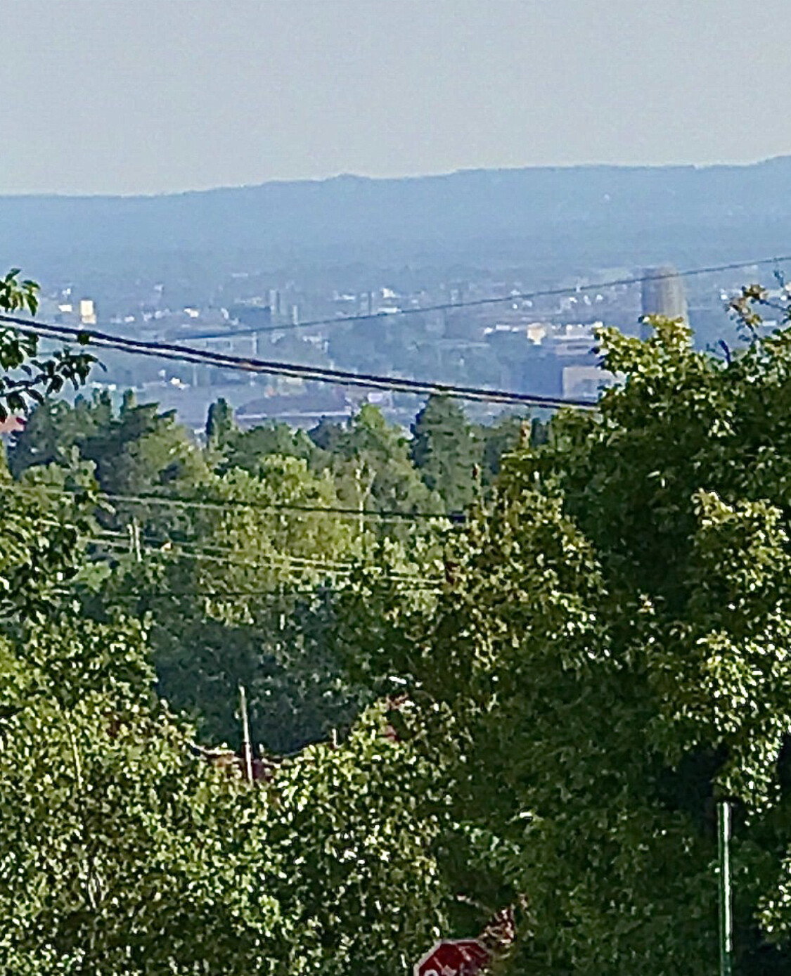 Grüner Wald im Vordergrund, Stadt im Hintergrund, Hügelkette und quer verlaufende Stromleitungen.