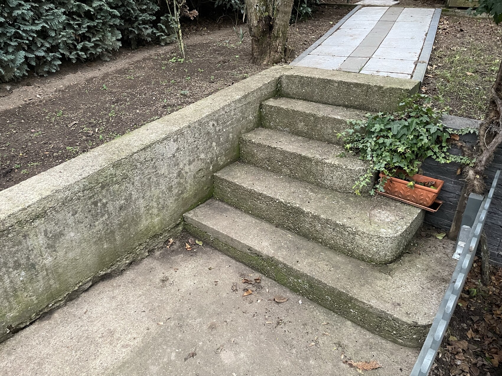 Betonstufen im Garten mit Moos, rechts orange Pflanzkübel mit Efeu, oberer Plattenweg.