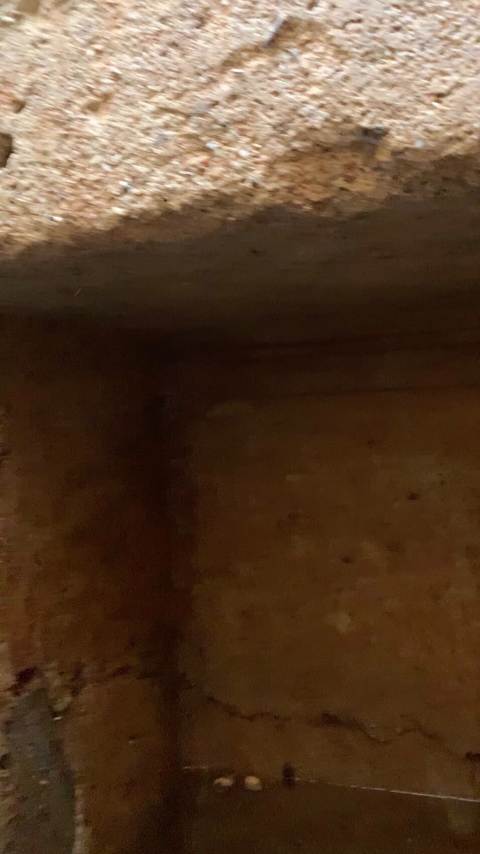 Offene Grube im Boden mit sandigem Rand und dunkler Innenseite.