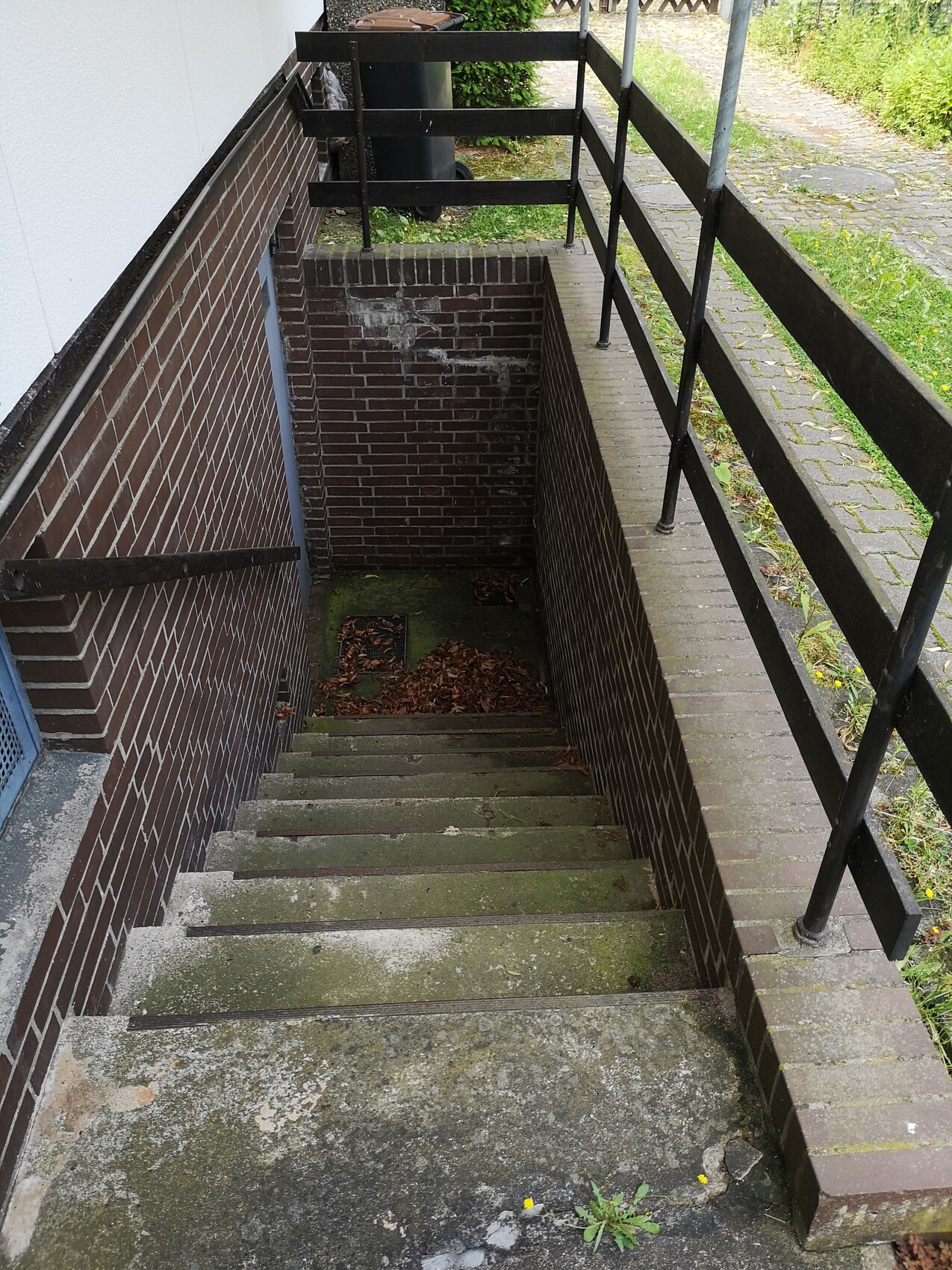 aussen-treppenhaus-kellerzugang-brick-wand-moos.jpg