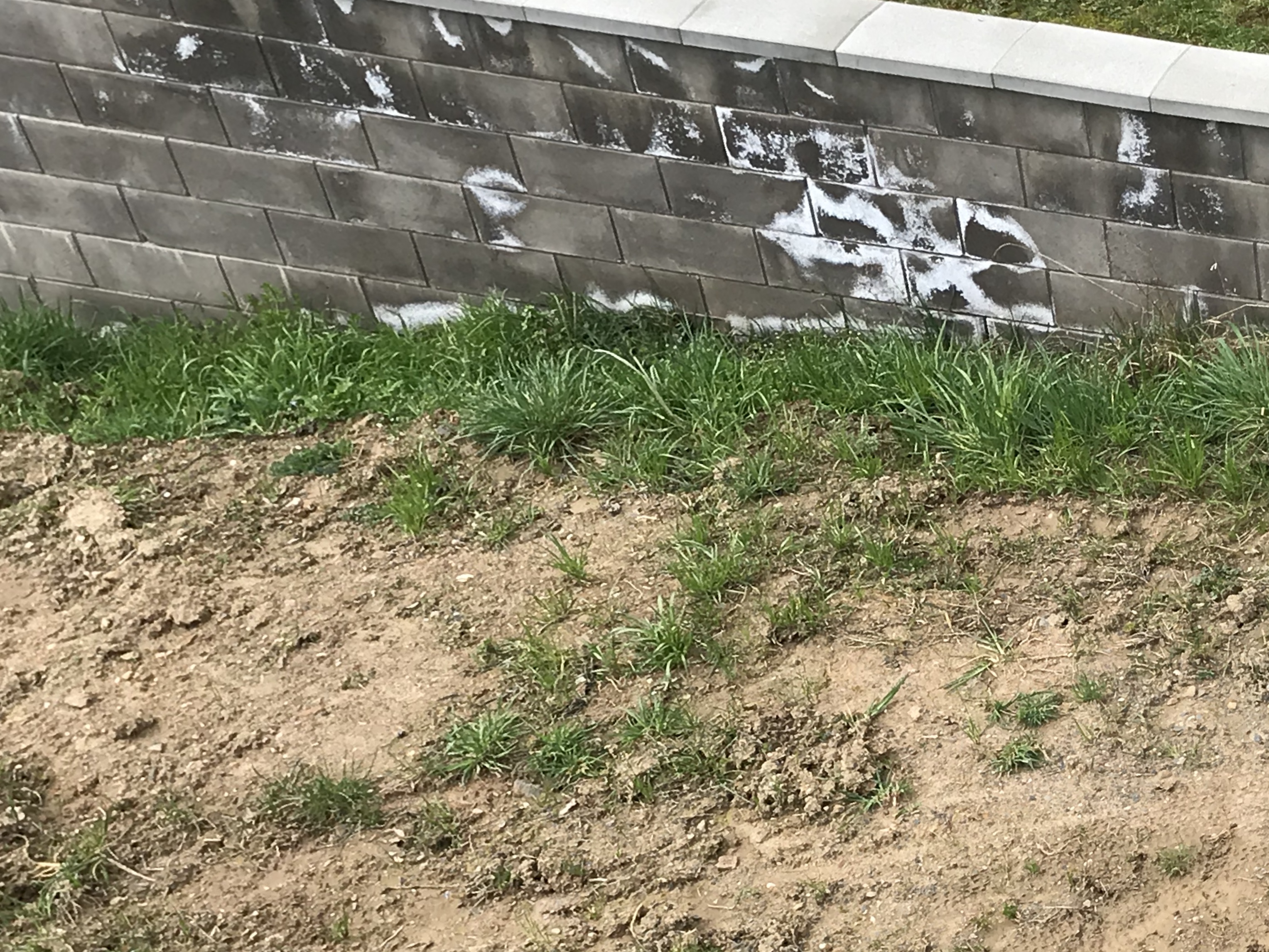aussenanlage-nachbar-hat-bereits-mauer-384986-1.jpeg