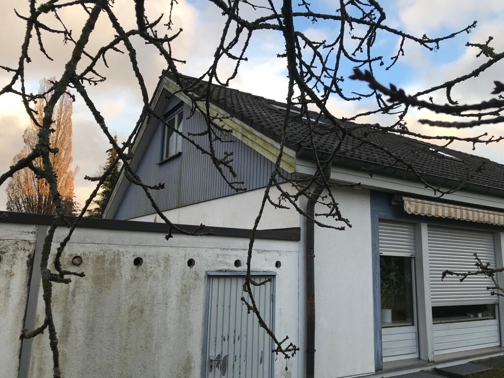 Häuschen mit Satteldach, weiße Fassade, blaues Giebeldreieck, kahle Zweige davor, Rollläden