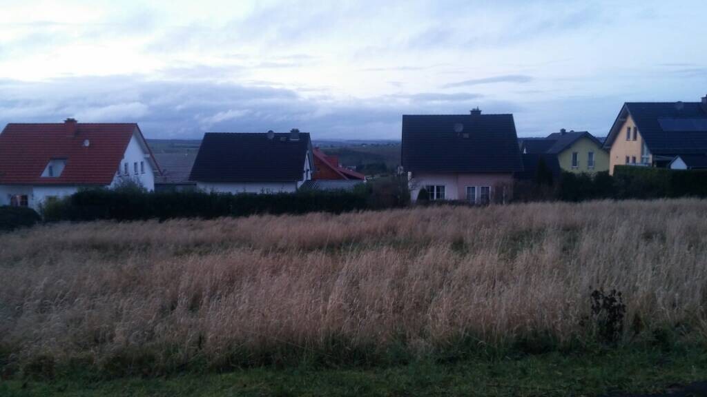 Vordergrund: hohes Gras; dahinter Häuserreihe mit roten und schwarzen Dächern, wolkiger Himmel.