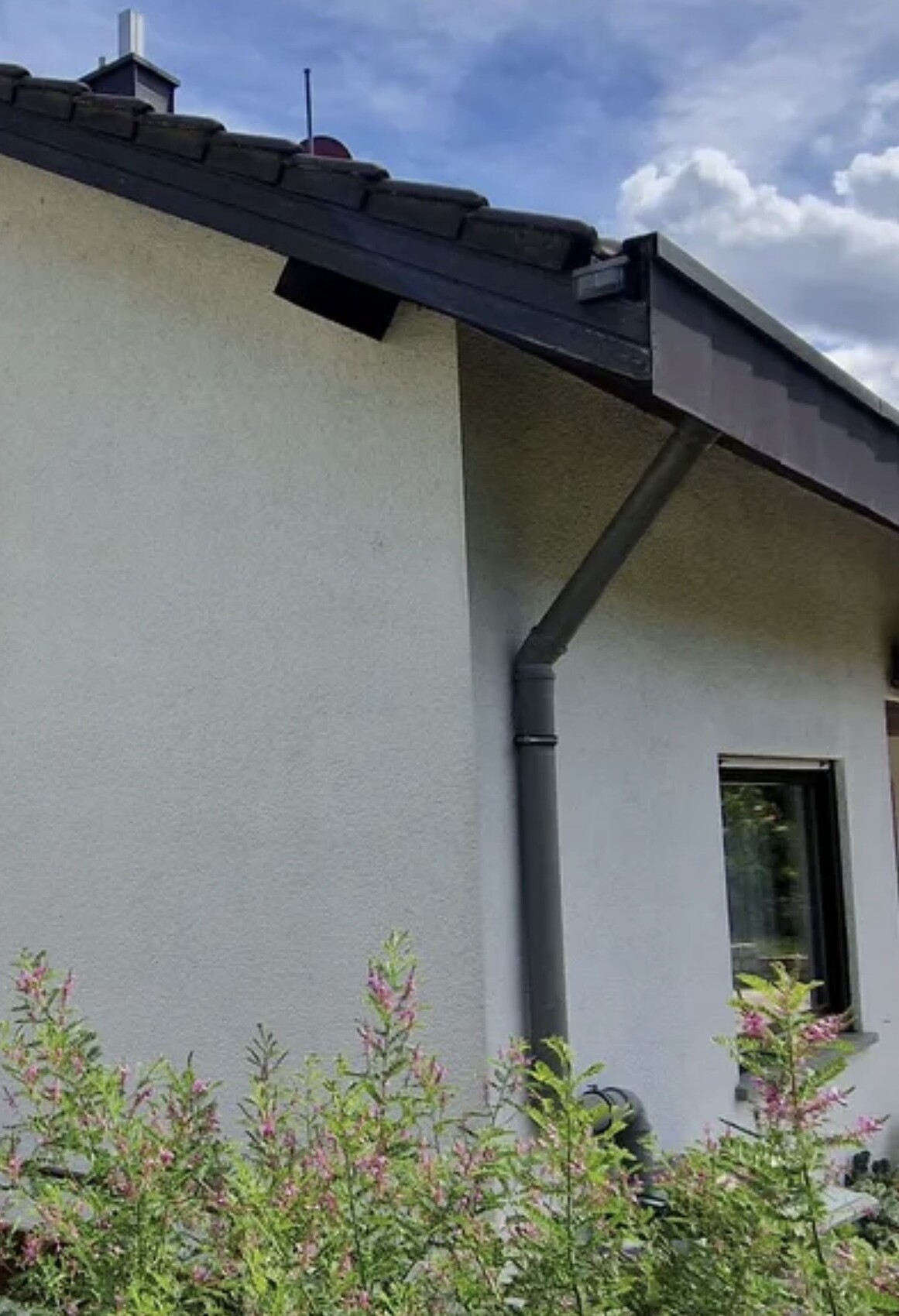 Weiße Hauswand mit dunklem Dachüberstand, Dachrinne und Fenster, im Vordergrund grüne Sträucher.